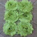 Six Shabby Chic Flowers - Lime Aid ..