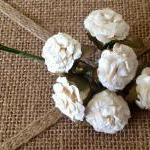 Cream Cabbage Roses 