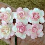 Blush Roses 