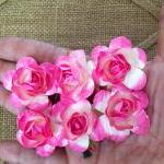 Fuschia Roses 