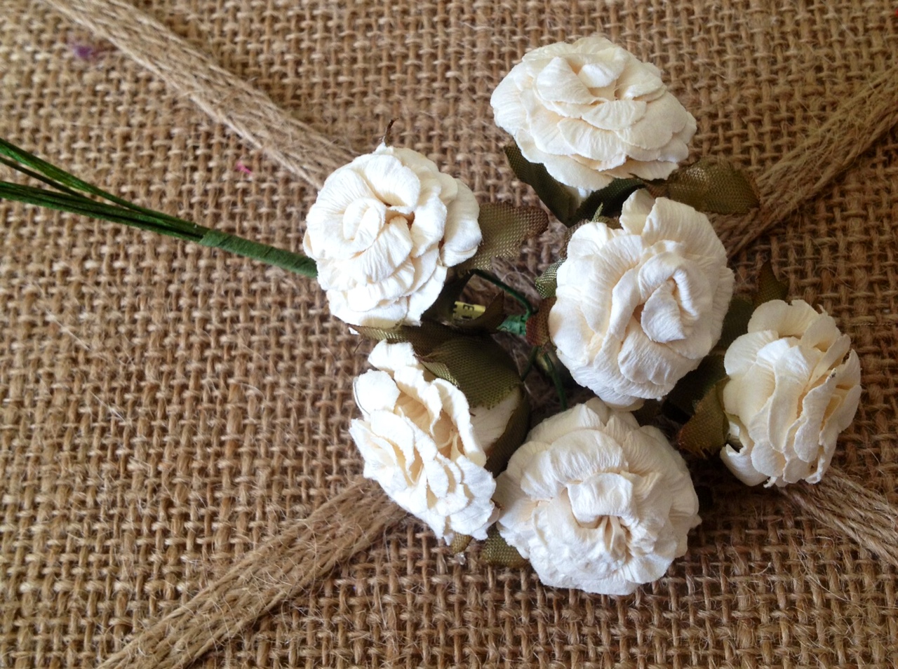 Cream Cabbage Roses on Luulla